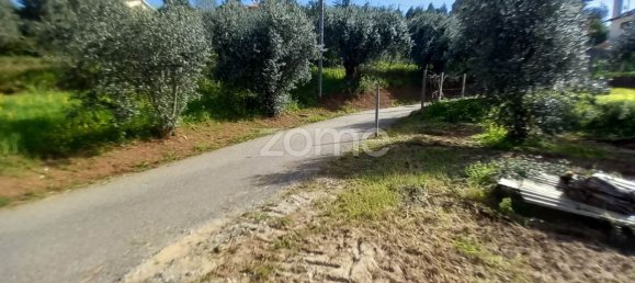  قطعة أرض في Luso, Portugal 990متر مربع رقم 26791 9