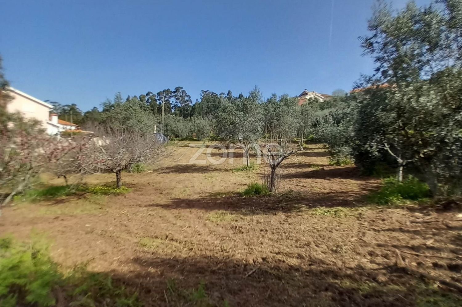  قطعة أرض في Luso, Portugal 990متر مربع رقم 26791