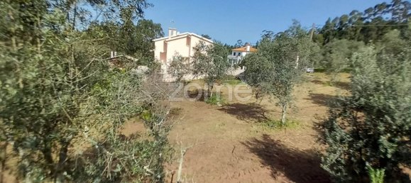  قطعة أرض في Luso, Portugal 990متر مربع رقم 26791 10