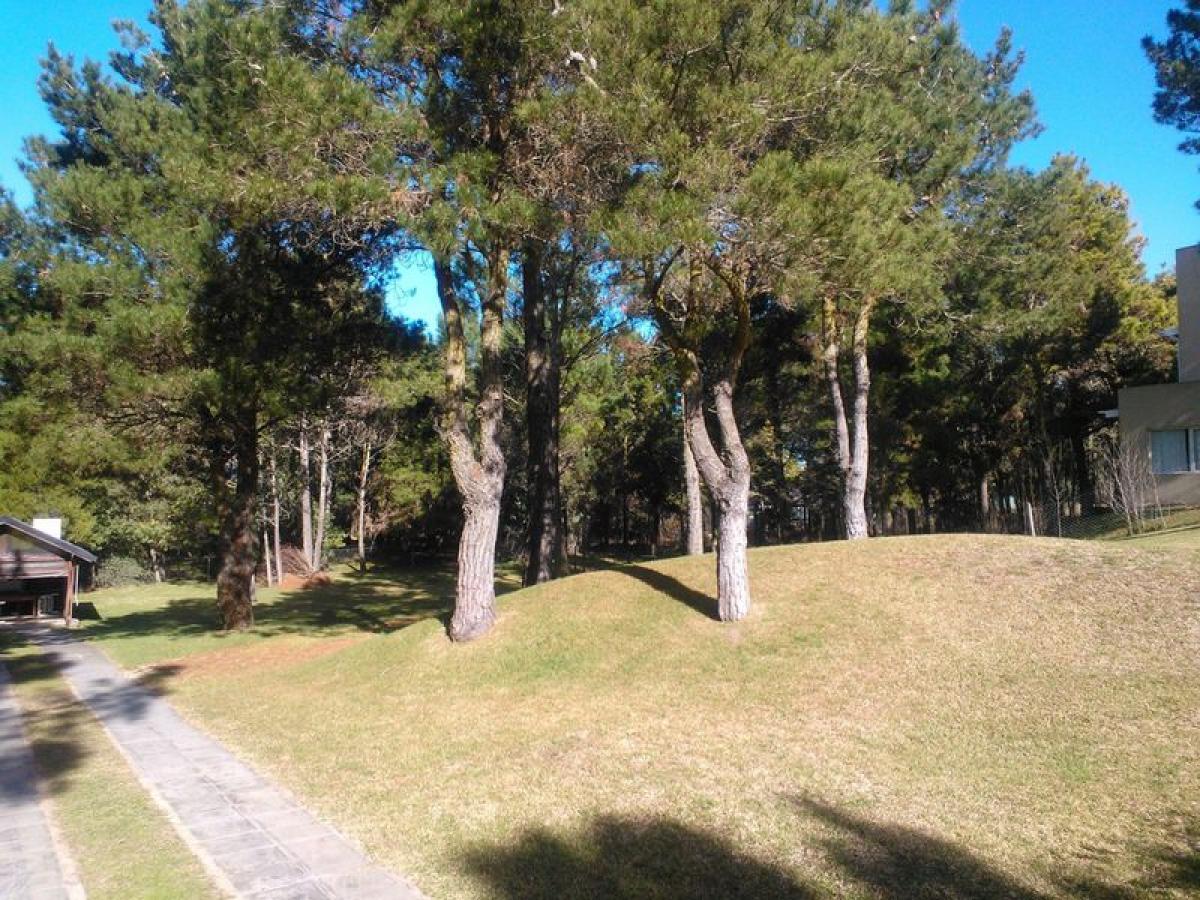 Grundstück in Mar del Plata, Argentina, Nr. 120199