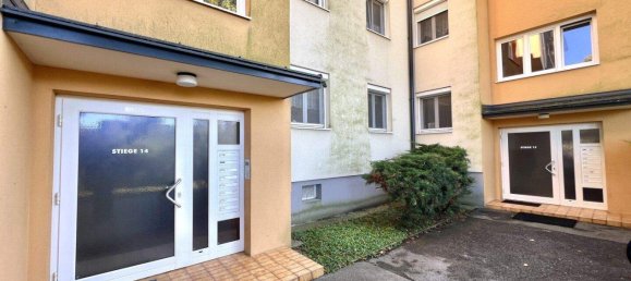 4-salle Appartement à Stockerau, Austria No. 237502 22