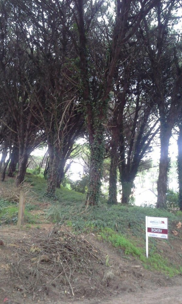 Terreno em Mar del Plata, Argentina N.º 114462