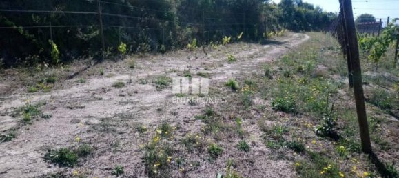  قطعة أرض في Gove, Portugal 16636متر مربع رقم 57471 3