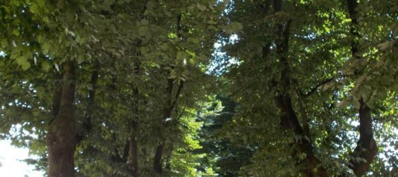 3غرفة شقة في Fara Gera d'Adda, Italy رقم 170684 12