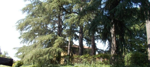 3غرفة شقة في Fara Gera d'Adda, Italy رقم 170684 14