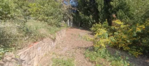 7 bedrooms House in Vallgorguina, Spain No. 110404 15