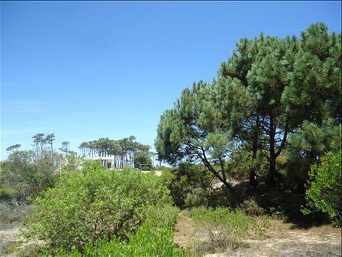 Земельный участок в Мальдонадо, Уругвай № 14420