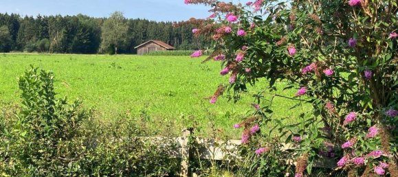 Дом с 5 спальнями в Miesbach, Германия № 259134 14