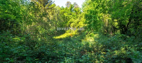 6 غرف نوم منزل في Coye-la-Foret, France رقم 317050 9