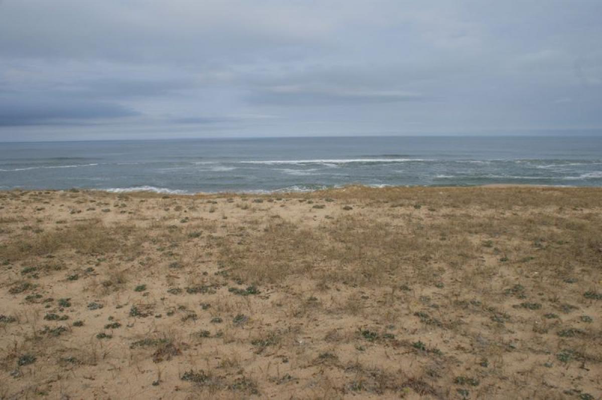  Land in Rocha, Uruguay No. 16147