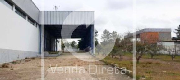 Grundstück in Muge, Portugal 5765m², Nr. 323357 7