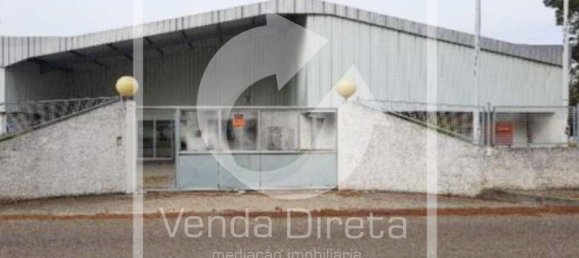 Grundstück in Muge, Portugal 5765m², Nr. 323357 2