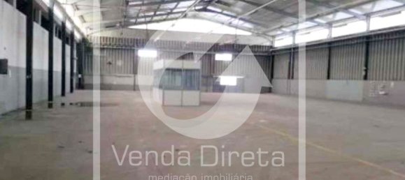 Grundstück in Muge, Portugal 5765m², Nr. 323357 8