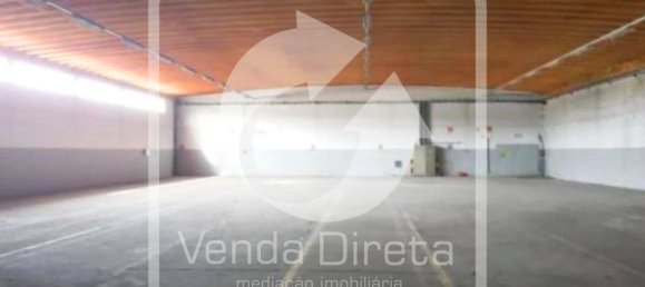 Grundstück in Muge, Portugal 5765m², Nr. 323357 14