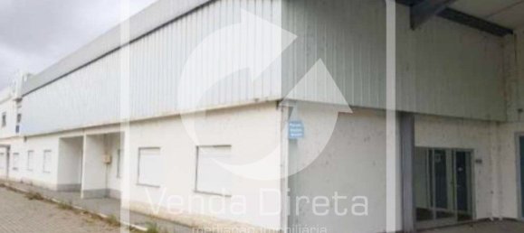 Grundstück in Muge, Portugal 5765m², Nr. 323357 3