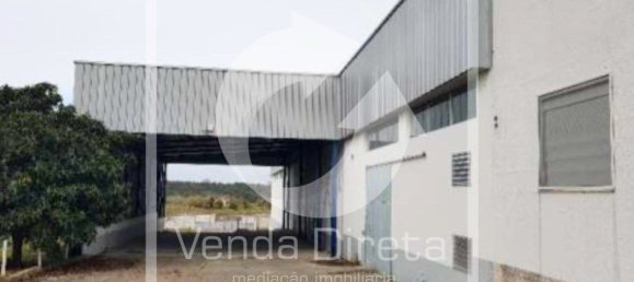 Grundstück in Muge, Portugal 5765m², Nr. 323357 5