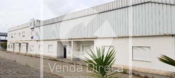 Grundstück in Muge, Portugal 5765m², Nr. 323357 6