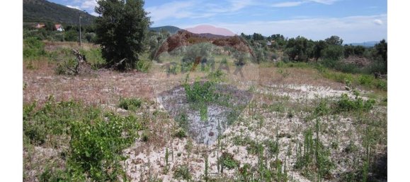 Terrain à Alpedrinha, Portugal 12000m² No. 76559 16