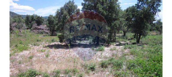 Terrain à Alpedrinha, Portugal 12000m² No. 76559 17