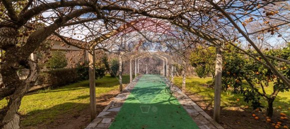 4 غرف نوم منزل في Aldeia das Dez, Portugal رقم 172046 7