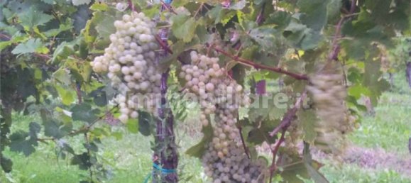 Terreno em Portogruaro, Italy 72000 m² N.º 221054 3