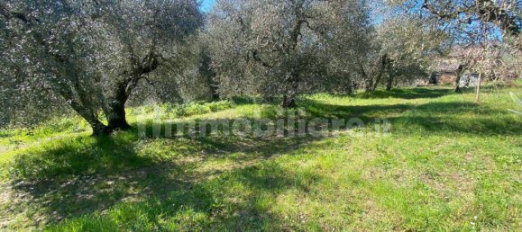 Дом с 3 спальнями в Баньореджо, Италия № 292082 17