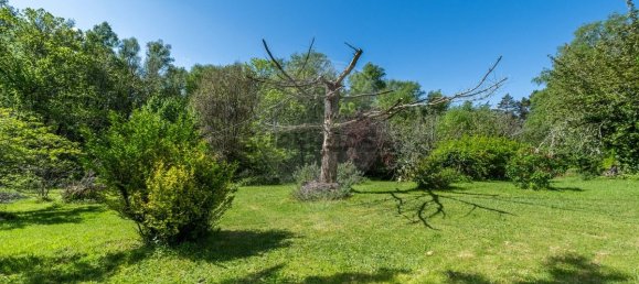 3 chambres Villa à Terras de Bouro, Portugal No. 348337 26