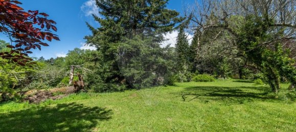 3 chambres Villa à Terras de Bouro, Portugal No. 348337 27