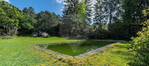 3 chambres Villa à Terras de Bouro, Portugal No. 348337 21