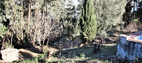 6 bedrooms Villa in Benajarafe, Spain No. 56830 48