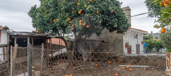 2 bedrooms House in Borba, Portugal No. 29217 14