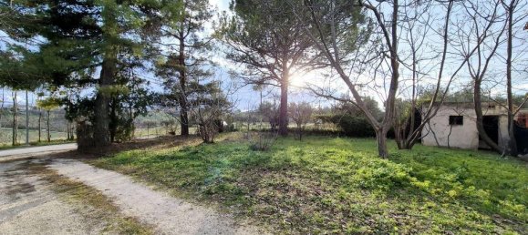 9 rooms House in Nocciano, Italy No. 127552 12