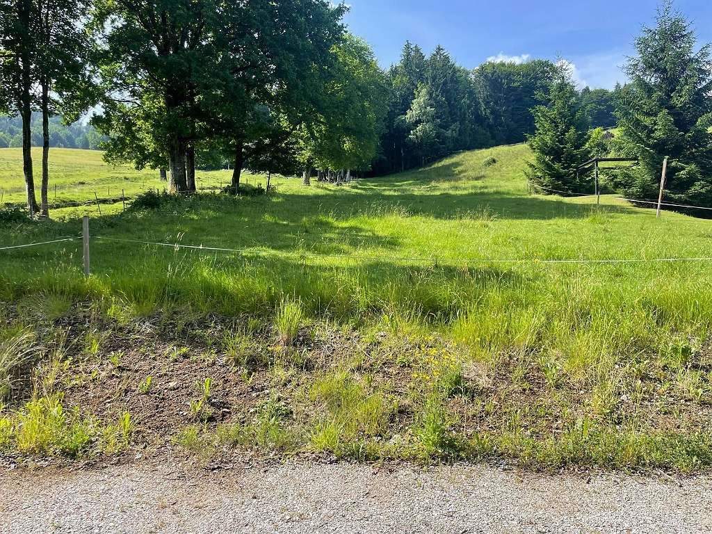  Land in Thalgau, Austria No. 219502