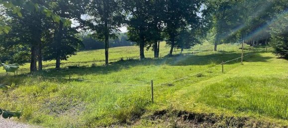  Land in Thalgau, Austria No. 219502 2