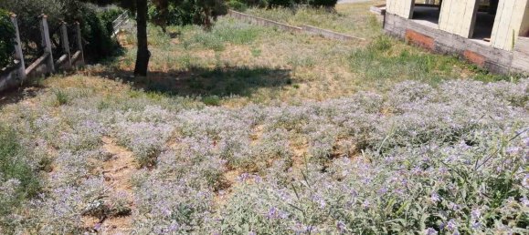 Hotel en Pylaia, Greece 750 m² No. 3543 6