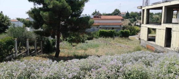 Hotel en Pylaia, Greece 750 m² No. 3543 2