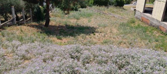 Hotel en Pylaia, Greece 750 m² No. 3543 3