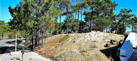 1553m² Land in Grandola, Portugal No. 131880 11