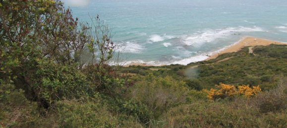 205000m² Hotel in Corfu, Greece No. 5780 4