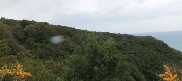 205000m² Hotel in Corfu, Greece No. 5780 18