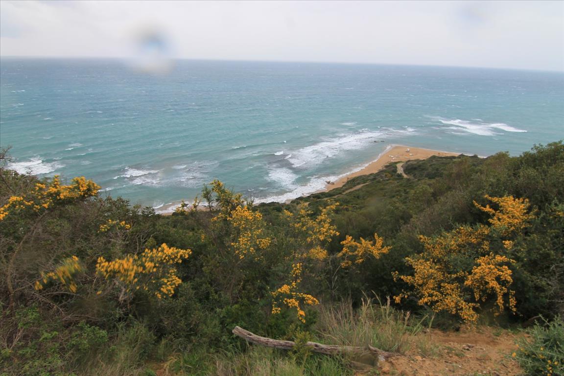 Hotel em Corfu, Greece 205000 m² N.º 5780