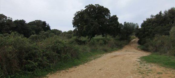 205000m² Hotel in Corfu, Greece No. 5780 13