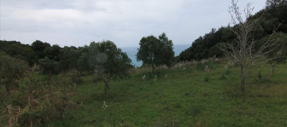 205000m² Hotel in Corfu, Greece No. 5780 14