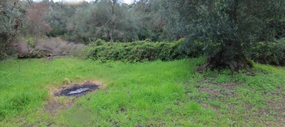 205000m² hôtel à vendre à Corfu, Central Corfu and Diapontian Islands, Corfu, Ionian Islands, Peloponnese, Western Greece and the Ionian, Greece № 5780 28