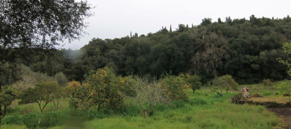 205000m² hôtel à vendre à Corfu, Central Corfu and Diapontian Islands, Corfu, Ionian Islands, Peloponnese, Western Greece and the Ionian, Greece № 5780 12
