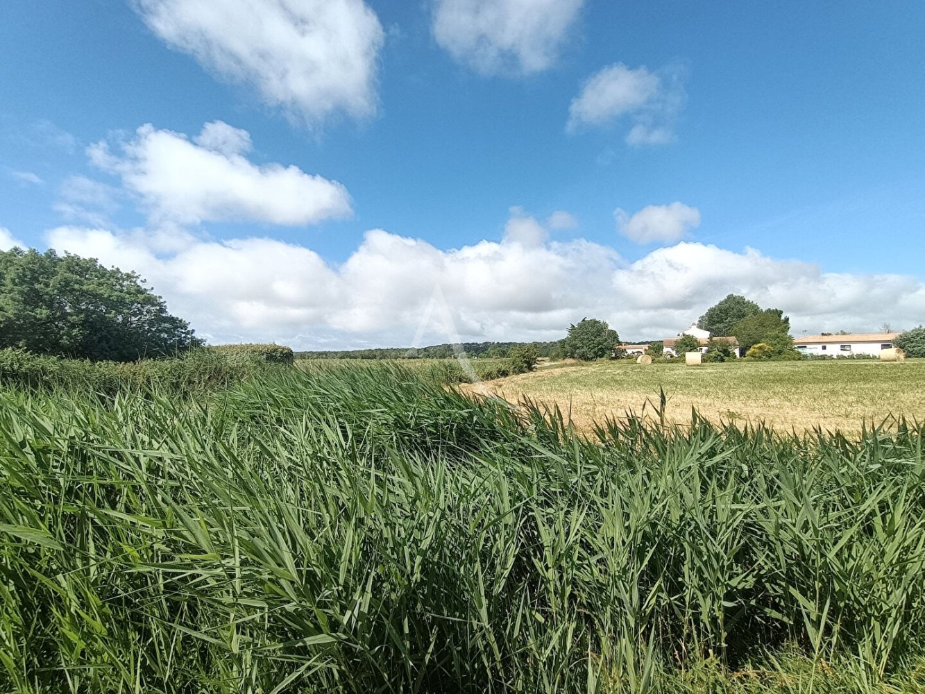  Land in La Barre-de-Monts, France No. 303314