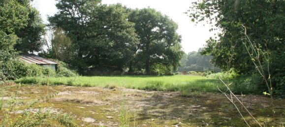 3000m² Land in Morbihan, France No. 286678 7