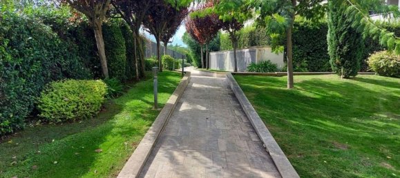 Büro in Rome, Italy 291m², Nr. 372683 12