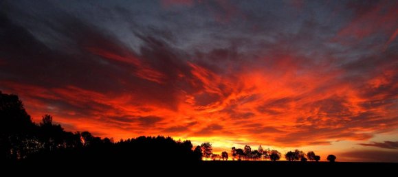 4 bedrooms House in Bad Leonfelden, Austria No. 172798 7