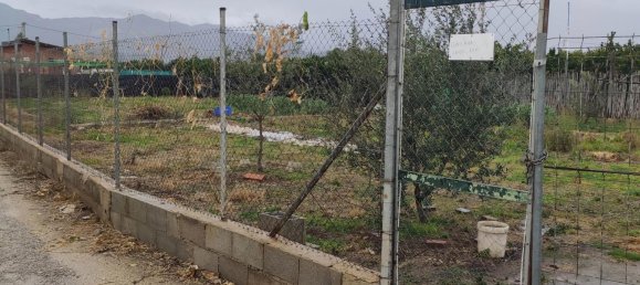 Земельный участок в Валенсия, Испания № 166830 8